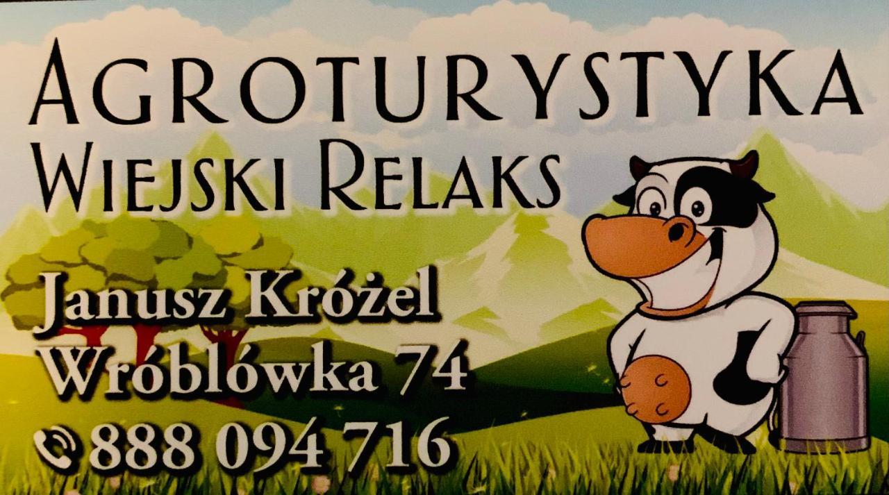 Wiejski Relaks Czarny Dunajec Kültér fotó